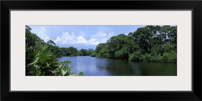 Florida, Sarasota, Oscar Scherer State Park, River flowing through a forest