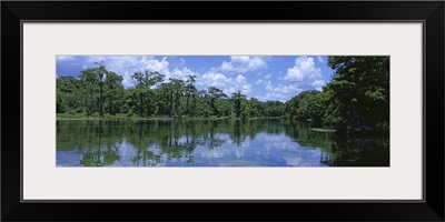 Florida, Wakulla Springs State Park, Reflection of trees and cloud in river