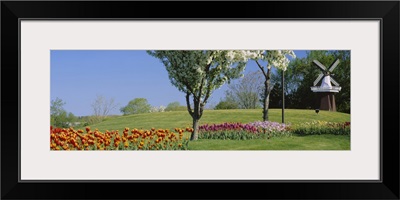 Flowering plants in front of a traditional windmill in a park, Grand Rapids, Michigan