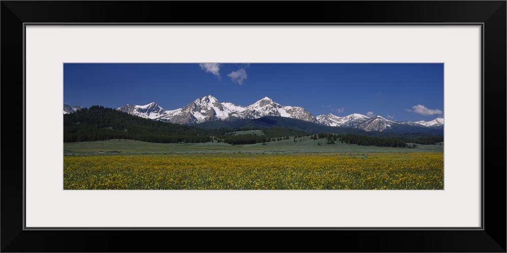 Panoramic photograph of meadow with forest and snow covered forest in the distance under a cloudy sky.