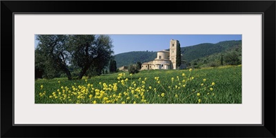 Flowers in a field with a church in the background, San Antimo Abbey, San Antimo, Tuscany, Italy