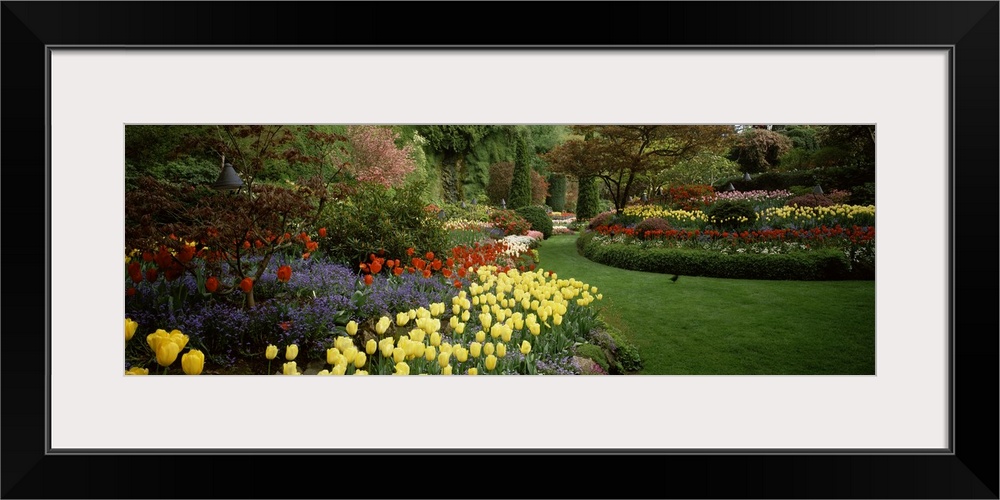 Flowers in a garden, Butchart Gardens, Brentwood Bay, Vancouver Island, British Columbia, Canada