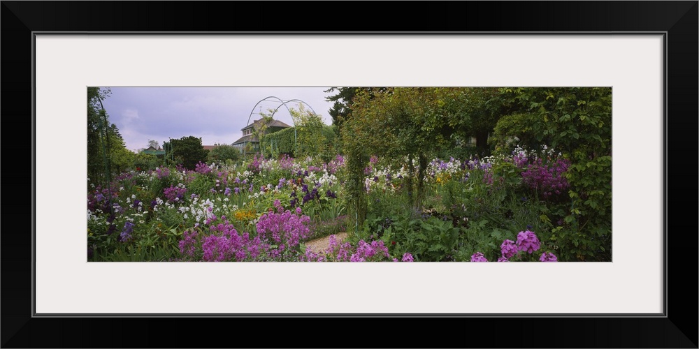 Panoramic picture taken of a thick garden that is filled with green foliage and purple and white flowers.