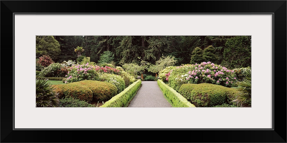 Flowers in a garden, Shore Acres State Park, Coos Bay, Oregon, USA