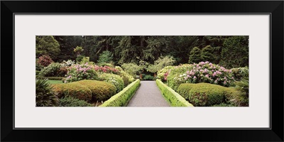 Flowers in a garden, Shore Acres State Park, Coos Bay, Oregon