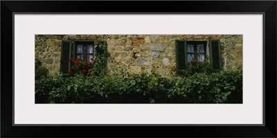 Flowers on a window, Monteriggioni, Tuscany, Italy
