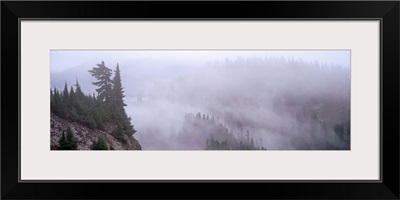 Fog Cascade Mountains WA