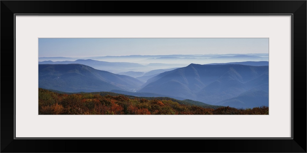 Panoramic photograph overlooking a wooded valley full of mist in the early morning in the Southern United States.