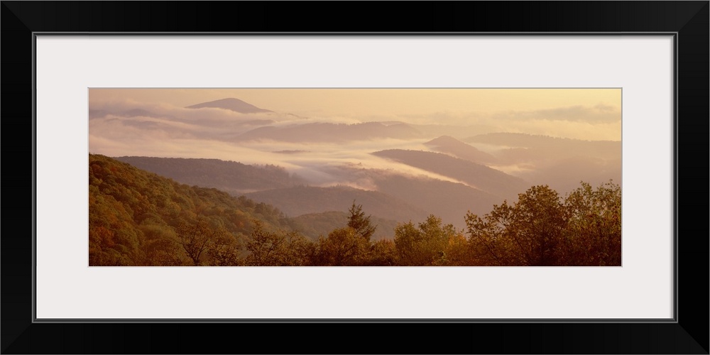 View from the Blue Ridge Parkway of a foggy sunrise over a mountain range in North Carolina.