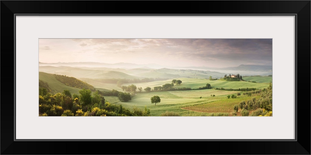 Foggy field, Villa Belvedere, San Quirico d'Orcia, Val d'Orcia, Tuscany, Italy