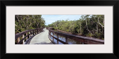 Footbridge across a lake Robinson Preserve Bradenton Manatee County Florida