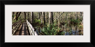 Footbridge passing through a forest, Six Mile Cypress Slough Preserve, Fort Myers, Florida