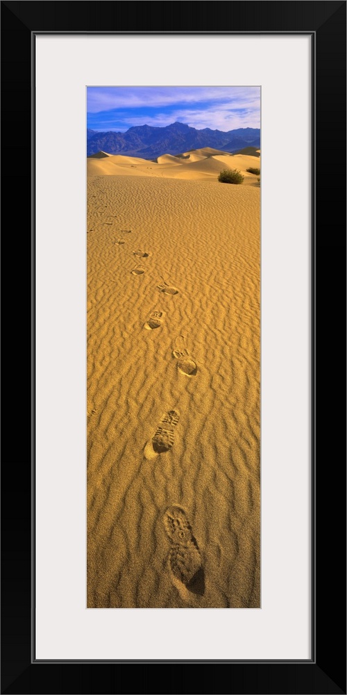 Footprints Death Valley National Park CA