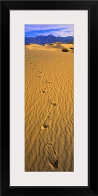 Footprints Death Valley National Park CA