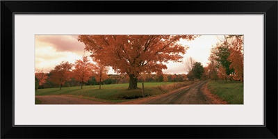 Fork in a road, Vermont