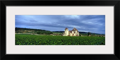 France, Burgundy, Grand Cru Vineyard