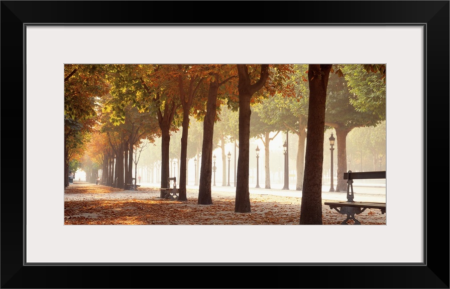 Wide angle view of a tree lined avenue through a park at autumn in Paris. Benches sit between the trunks of mature trees.