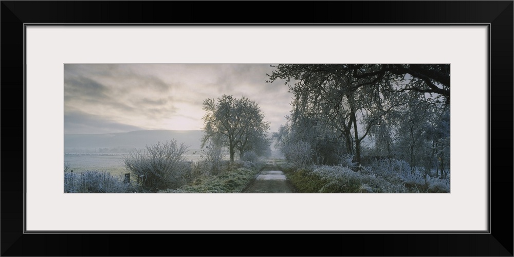 Horizontal photograph on a big canvas of a narrow road running through a wooded area covered in frost, as the sun rises on...