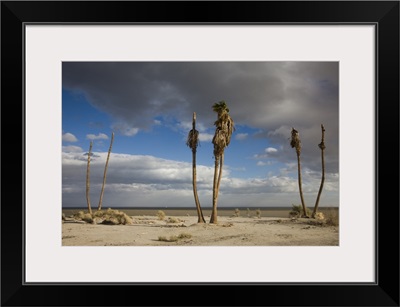 Ghost town in a desert, Salton Sea, Salton City, Imperial County, California