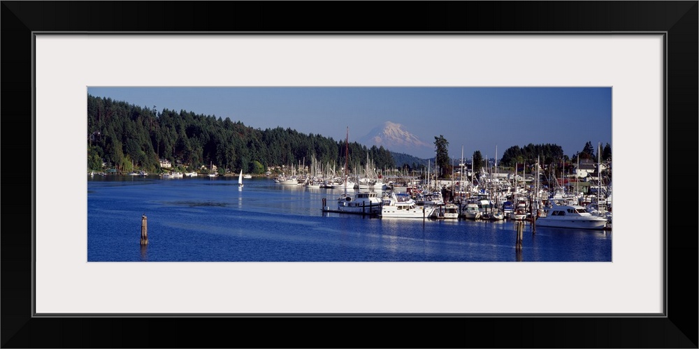 A collection of boats sit docked in the water to the right side of the picture with a thick pine forest lining the backside.