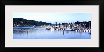 Gig Harbor Mount Rainier Pierce County WA