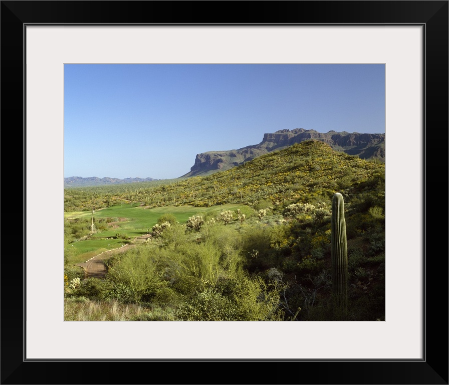 Golf course, Gold Camp, Pinal County, Arizona