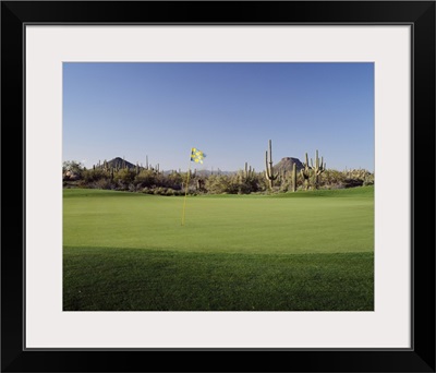 Golf flag in a golf course, Troon North Golf Club, Scottsdale, Maricopa County, Arizona