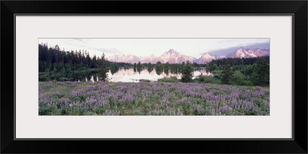 Grand Teton National Park WY