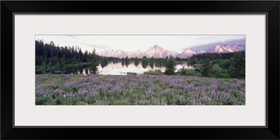 Grand Teton National Park WY