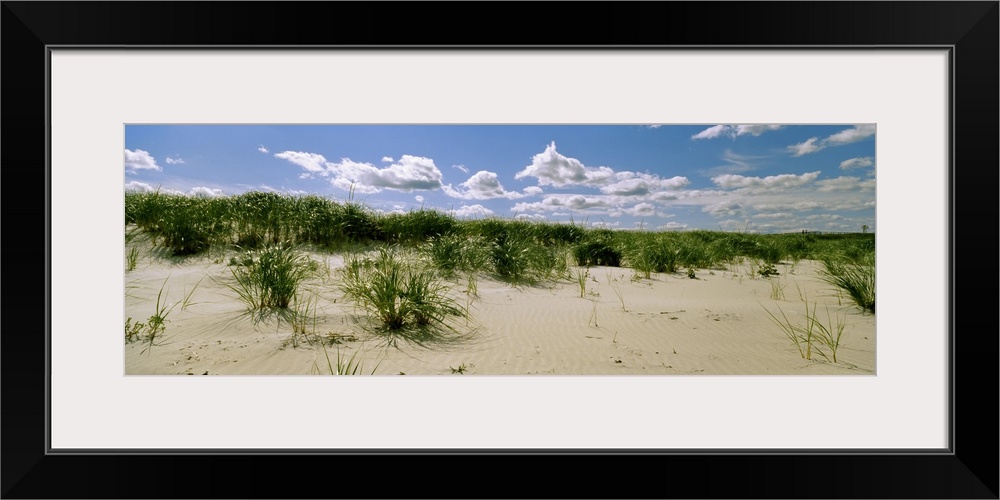 Grass among the dunes, Crane Beach, Ipswich, Essex County, Massachusetts