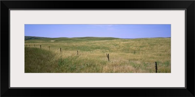 Grass on a field, Cherry County, Nebraska