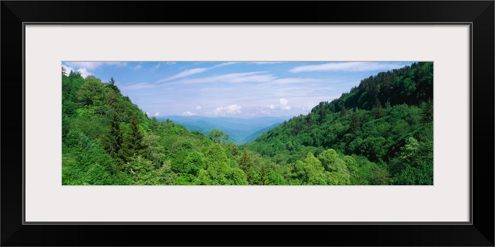 Great Smoky Mountains National Park TN