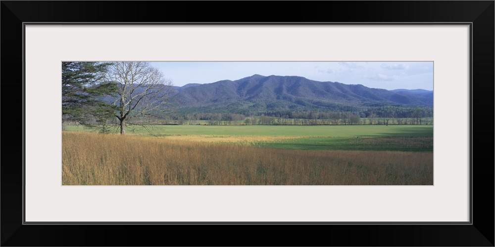 Panoramic photograph of open meadow with mountains in the distance under a clear sky.