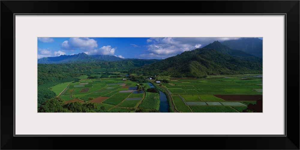 Hanalei Valley Overlook Kauai HI