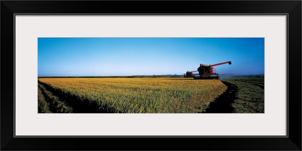 Harvested rice field Glenn Co CA