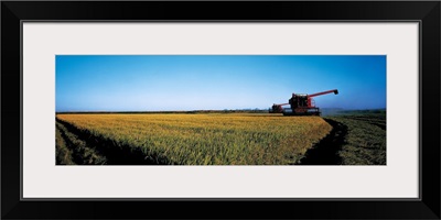 Harvested rice field Glenn Co CA