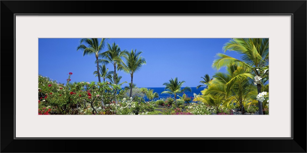 Long panoramic image of palm trees and other flowering plants and bushes along the coastline of Hawaii.