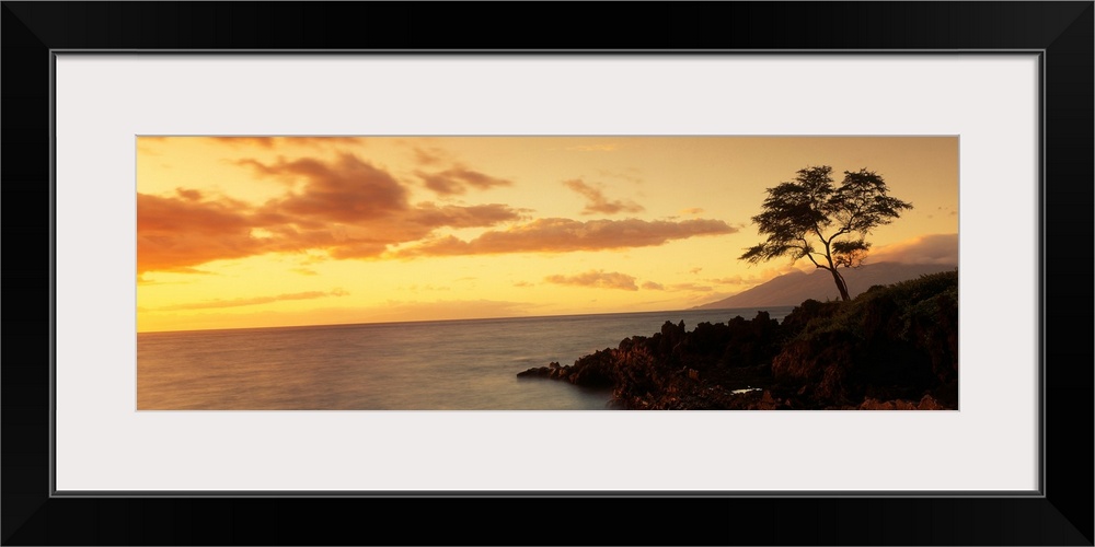 Panoramic photograph displays a lone tree sitting on the rocky shores of an island in the Pacific Ocean as waves gently co...