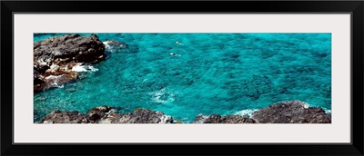 Hawaii, Oahu, Aerial view of two people swimming in the ocean