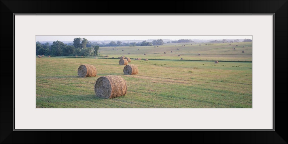 Hay bales in a field, Jackson County, Kansas