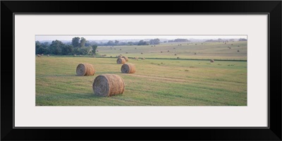 Hay bales in a field, Jackson County, Kansas