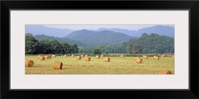 Hay bales in a field, Murphy, North Carolina