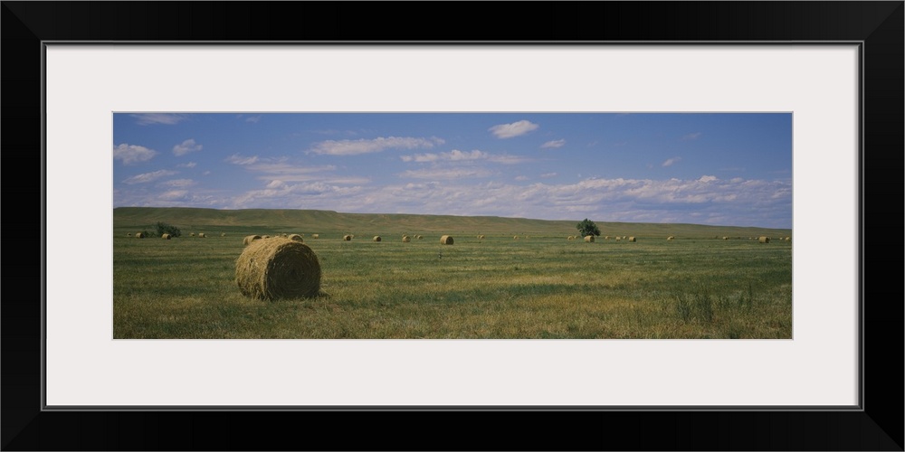 Hay bales in a field, Sundance, Idaho