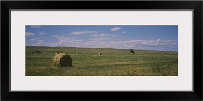 Hay bales in a field, Sundance, Idaho