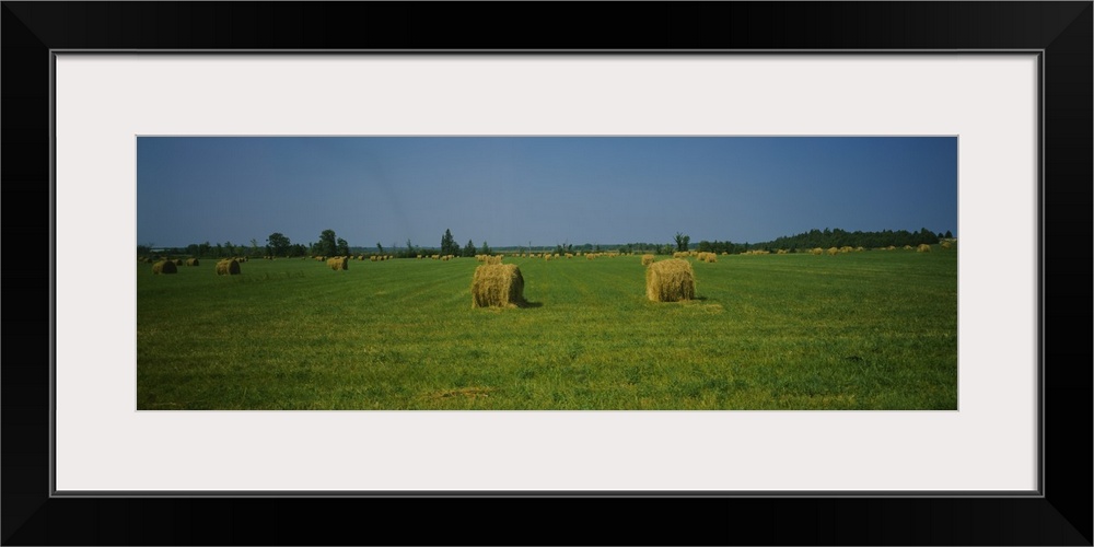 Hay bales on a field, Michigan