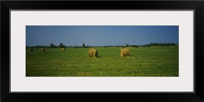 Hay bales on a field, Michigan