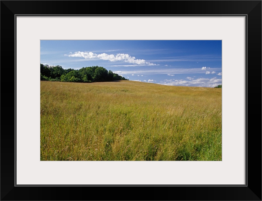 Hay field on rolling hill, New York