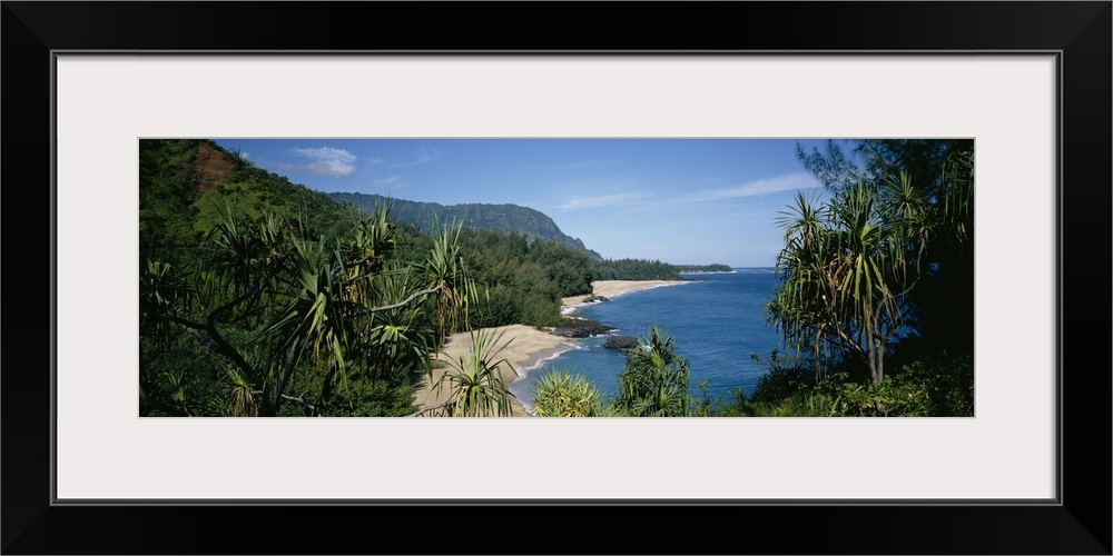 Panoramic photograph taken through trees and foliage looking out to the ocean and cliffs that line a Hawaiian coast.