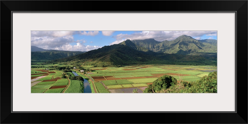 High angle view of a field with mountains in the background, Hanalei Valley, Kauai, Hawaii