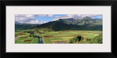 High angle view of a field with mountains in the background, Hanalei Valley, Kauai, Hawaii